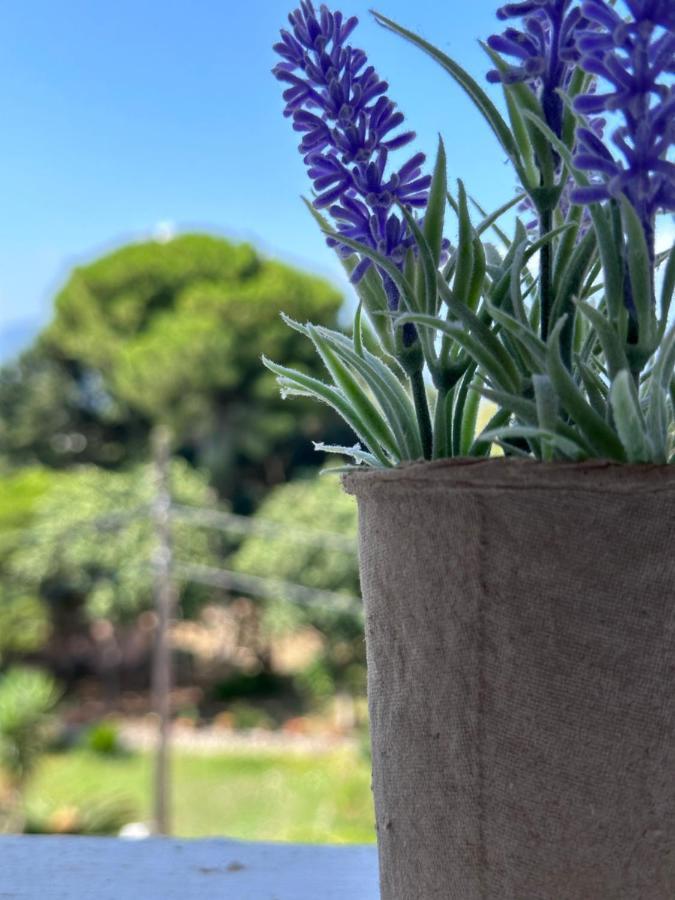 Olia Apartment Corfu  Buitenkant foto